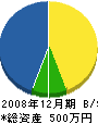 江部電気 貸借対照表 2008年12月期