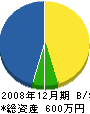 池田畳商店 貸借対照表 2008年12月期