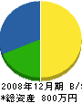 金田朝雄 貸借対照表 2008年12月期
