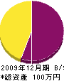 山崎塗装 貸借対照表 2009年12月期