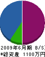 関野造園 貸借対照表 2009年6月期