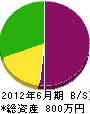 ナカシマ工業 貸借対照表 2012年6月期