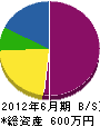 谷川勇組 貸借対照表 2012年6月期