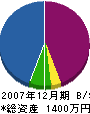 元木塗装店 貸借対照表 2007年12月期