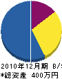 川口電気 貸借対照表 2010年12月期