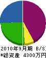 恵清建設 貸借対照表 2010年9月期
