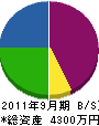 恵清建設 貸借対照表 2011年9月期