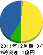 大槻組 貸借対照表 2011年12月期