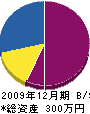 縄田建設 貸借対照表 2009年12月期