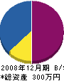 福濱工業 貸借対照表 2008年12月期