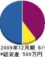 辻本ポンプ設備工業所 貸借対照表 2009年12月期
