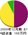 新湊土石 貸借対照表 2009年12月期