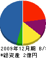 中達組 貸借対照表 2009年12月期