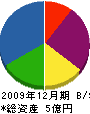 永田建設 貸借対照表 2009年12月期