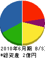 日新電工 貸借対照表 2010年6月期