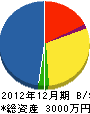 糸魚川防災 貸借対照表 2012年12月期