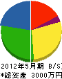山鈴工業 貸借対照表 2012年5月期