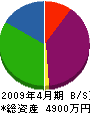 山崎興業 貸借対照表 2009年4月期