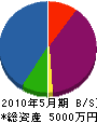 松井土建 貸借対照表 2010年5月期