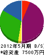 岩田組 貸借対照表 2012年5月期