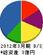 丸辰道路工業 貸借対照表 2012年3月期
