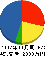 柄澤工業 貸借対照表 2007年11月期