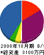 ヤナセ建設 貸借対照表 2008年10月期