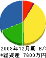 竹之内建設 貸借対照表 2009年12月期