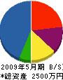 竹島電機 貸借対照表 2009年5月期