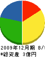 日本浄水管理 貸借対照表 2009年12月期