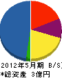 川村工業 貸借対照表 2012年5月期