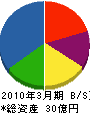 旭エー・ブイ産業 貸借対照表 2010年3月期
