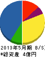 手塚組 貸借対照表 2013年5月期