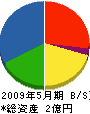 細島電業 貸借対照表 2009年5月期