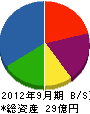 ジャパンエレベーターサービス 貸借対照表 2012年9月期