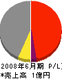 武田 損益計算書 2008年6月期