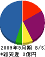 日成テック 貸借対照表 2009年9月期