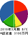 井元電気商会 貸借対照表 2010年3月期