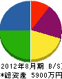 志賀土木 貸借対照表 2012年8月期