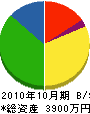 松野建設工業 貸借対照表 2010年10月期