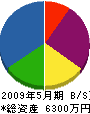 三井工業 貸借対照表 2009年5月期