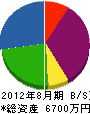 松田塗装店 貸借対照表 2012年8月期