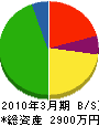松尾環境開発 貸借対照表 2010年3月期
