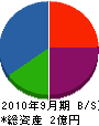 鈴木技建 貸借対照表 2010年9月期