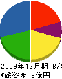 富永工務店 貸借対照表 2009年12月期