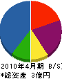 田中ゴム産業 貸借対照表 2010年4月期