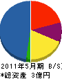 川村工業 貸借対照表 2011年5月期