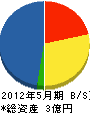 三勇建設 貸借対照表 2012年5月期