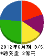 上田組 貸借対照表 2012年6月期