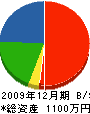 小沢造園 貸借対照表 2009年12月期